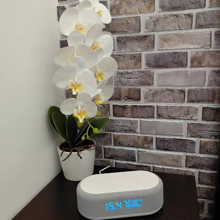 Διαμέρισμα World Traveler Βελιγράδι